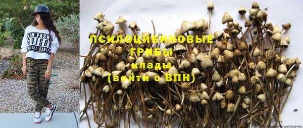 ГАЛЛЮЦИНОГЕННЫЕ ГРИБЫ Костерёво