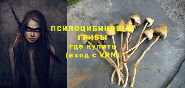 ГАЛЛЮЦИНОГЕННЫЕ ГРИБЫ Костерёво