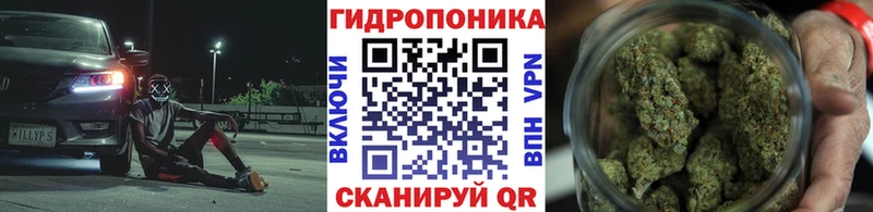 продажа наркотиков Окуловка Бошки марихуана OG Kush